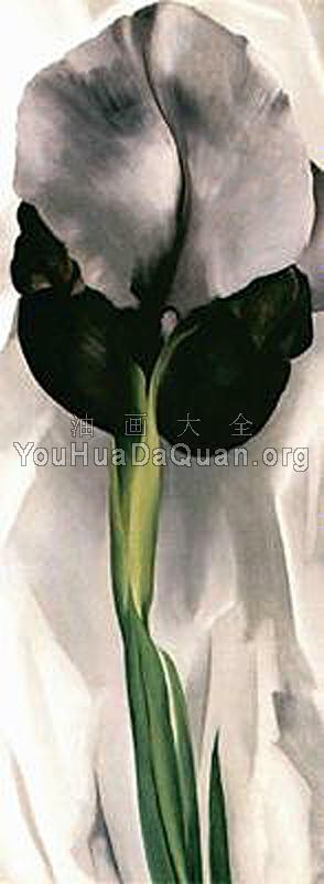 Iris - 乔治亚·奥基夫